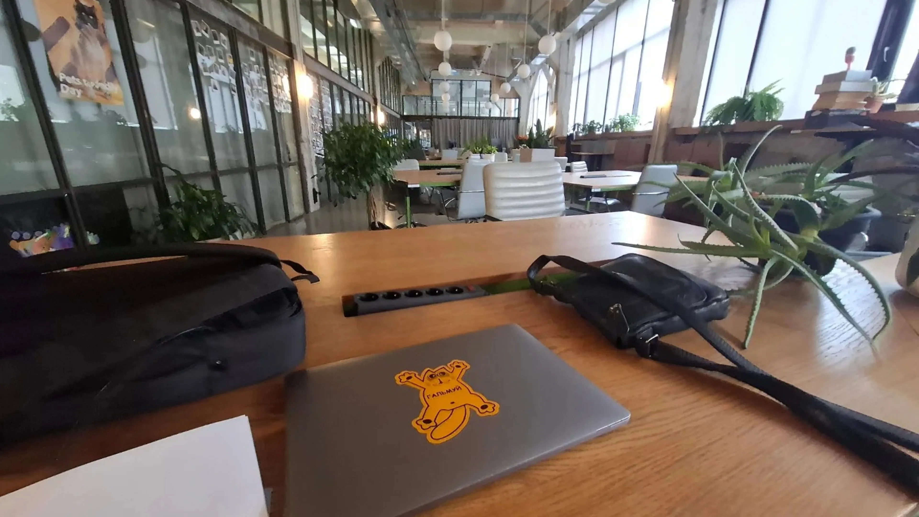 Healthy Workspace